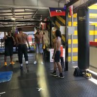 House of Pain Miami Boxing ico