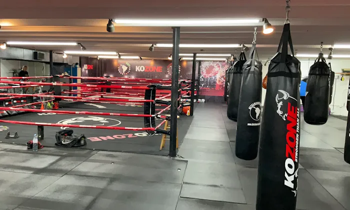 KO ZONE Picture 4