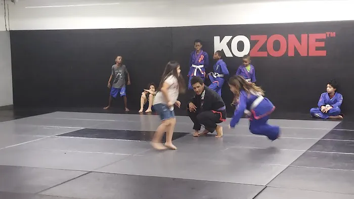 KO ZONE Picture 3