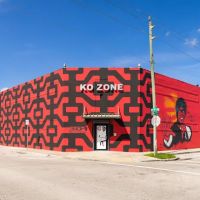 KO ZONE ico