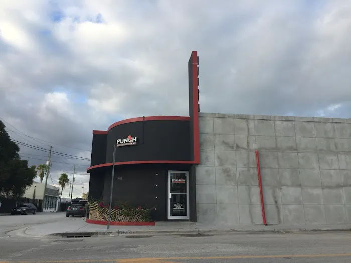 Punch Elite Fitness Miami Picture 6