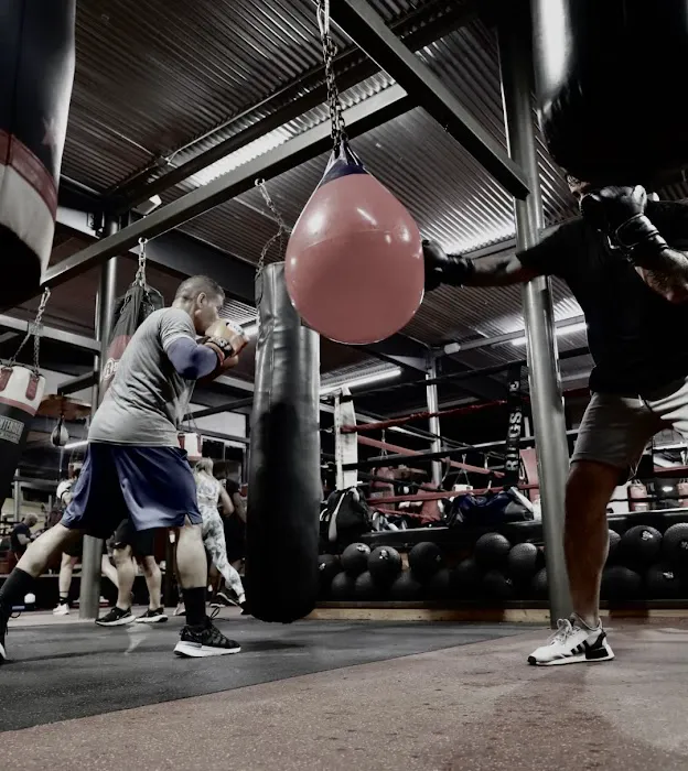 Punch Elite Fitness Miami Picture 4