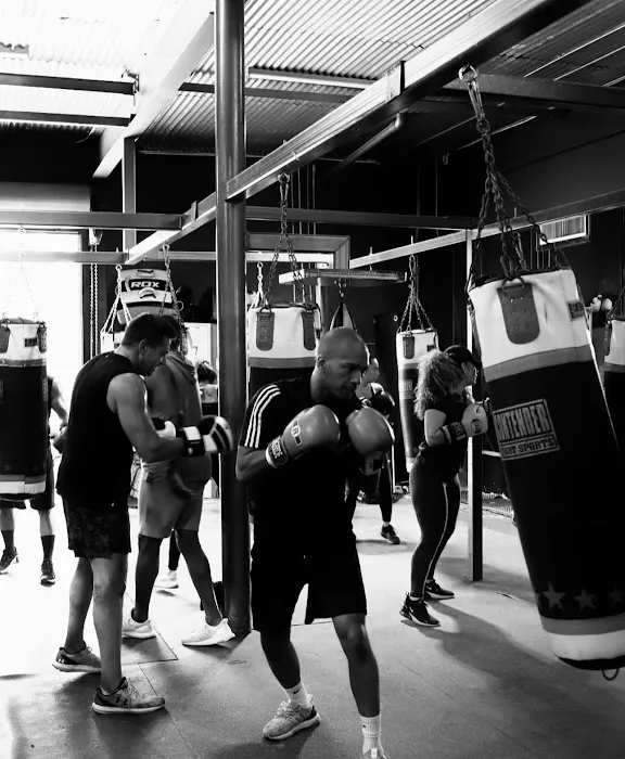 Punch Elite Fitness Miami Picture 1