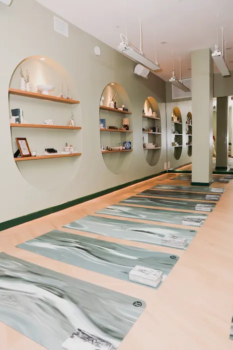 Maison Yoga Miami Picture 8
