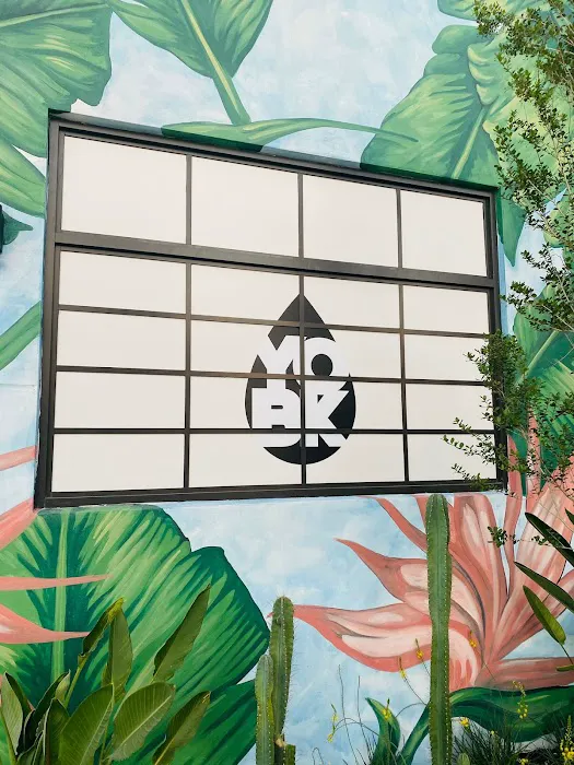 YO BK - Wynwood Picture 6
