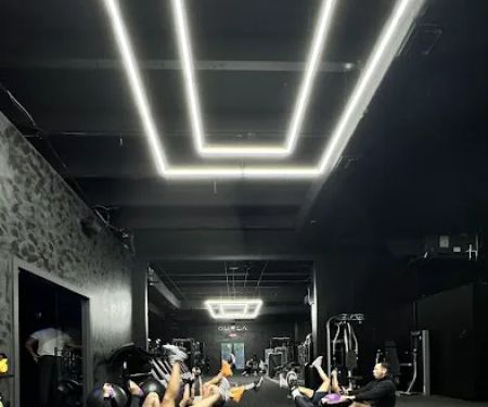 Omega Wellness Club