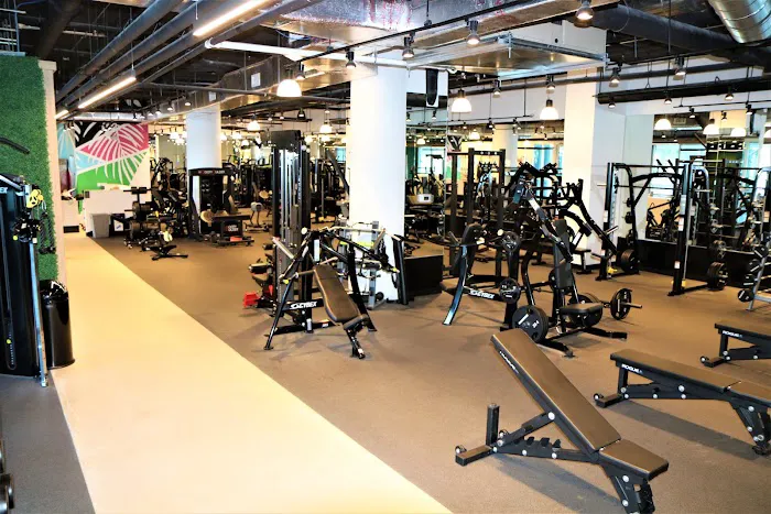 Miami Strong Gym Picture 5