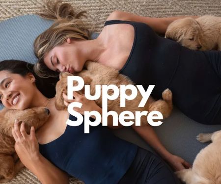Puppy Sphere | Puppy Yoga (Miami)