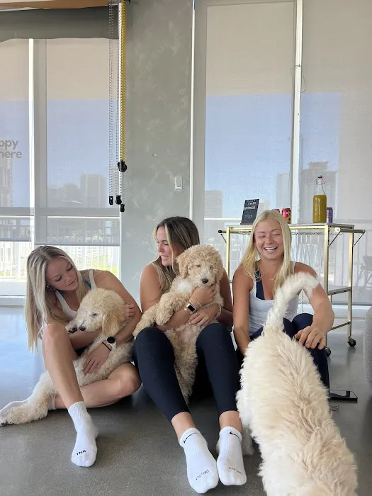 Puppy Sphere | Puppy Yoga (Miami) Picture 4