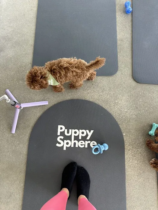 Puppy Sphere | Puppy Yoga (Miami) Picture 7