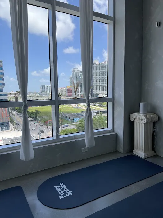 Puppy Sphere | Puppy Yoga (Miami) Picture 5