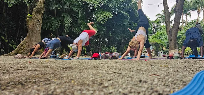 MoonLight Yoga Miami Studio Picture 3
