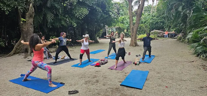 MoonLight Yoga Miami Studio Picture 10