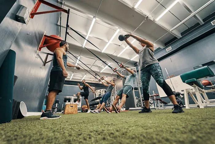ALL PURPOSE TRAINING Picture 4