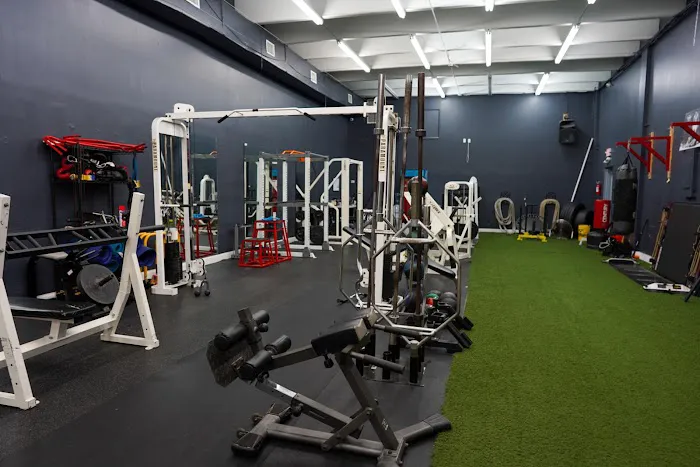 ALL PURPOSE TRAINING Picture 7