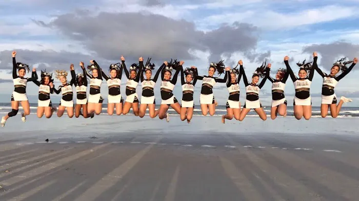 IDOL Cheer Picture 4