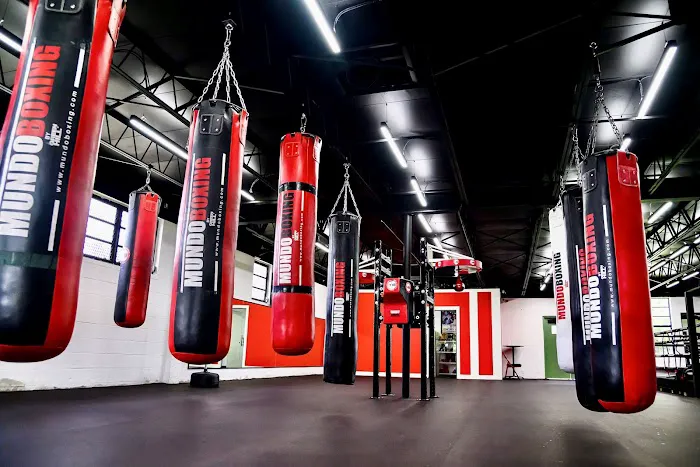 Mundo Boxing Gym Picture 2