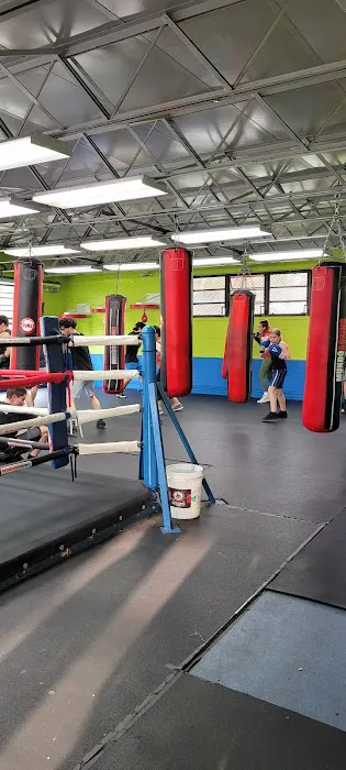 Muhammad Ali Boxing Center - Mundo Boxing Picture 4