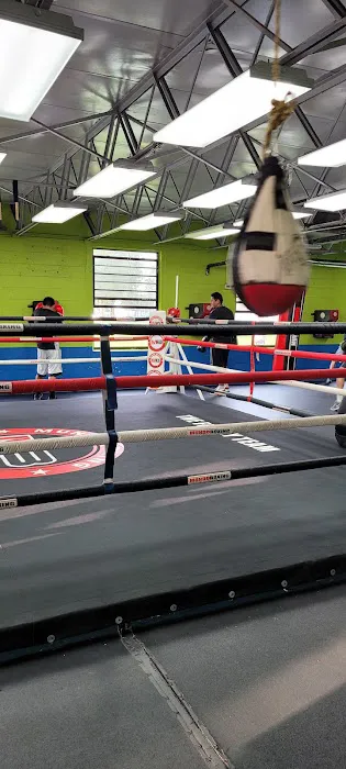 Muhammad Ali Boxing Center - Mundo Boxing Picture 3