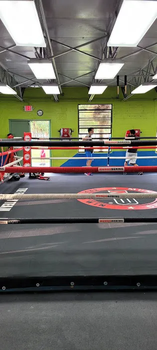 Muhammad Ali Boxing Center - Mundo Boxing Picture 8