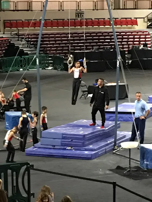 Elite Gymnastics Academy EGA Picture 3
