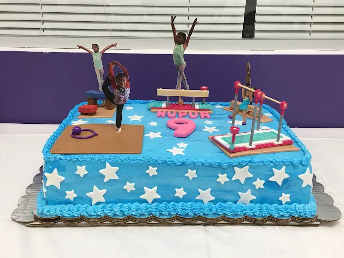 Elite Gymnastics Academy EGA Picture 2