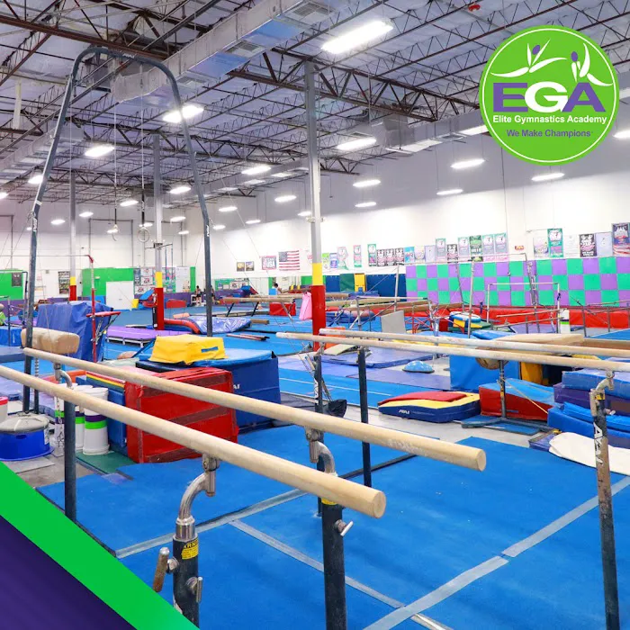 Elite Gymnastics Academy EGA Picture 7