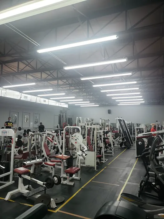 Awesome Gym Picture 4