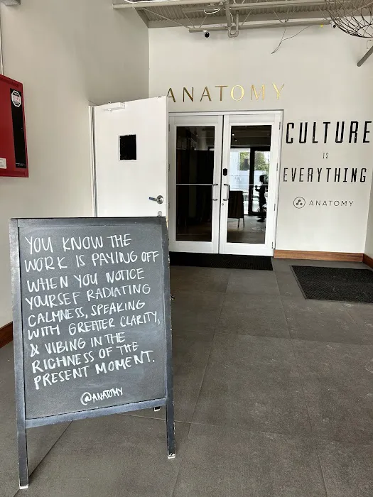 Anatomy Picture 6
