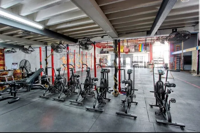 Live Free Fitness Club Picture 3