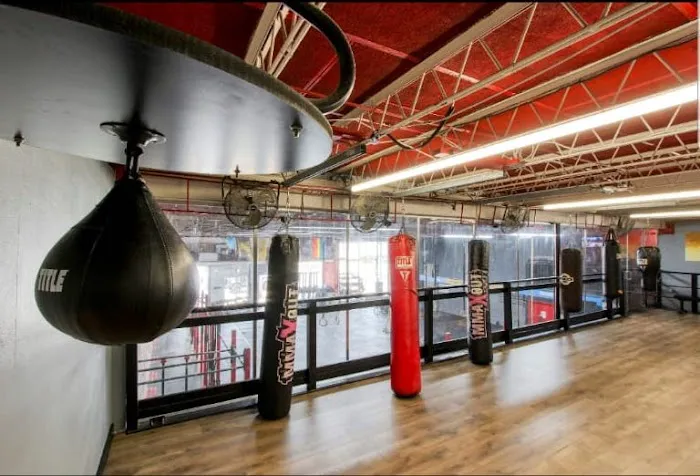 Live Free Fitness Club Picture 10