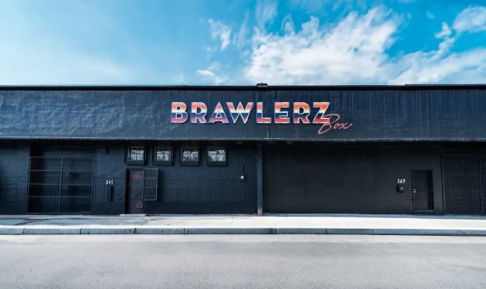 Brawlerz Box Picture 2