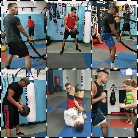gladiator sports fitness mma Picture 4