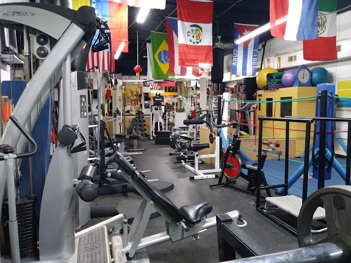 gladiator sports fitness mma Picture 6