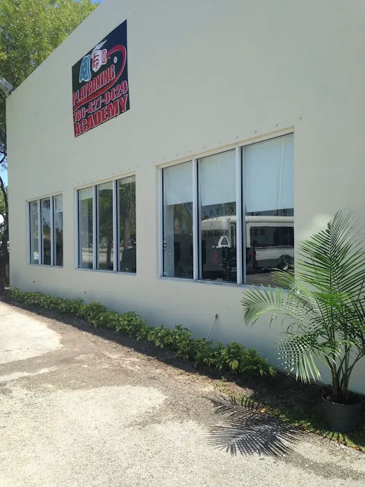 PLAYBOXING ACADEMY Picture 3