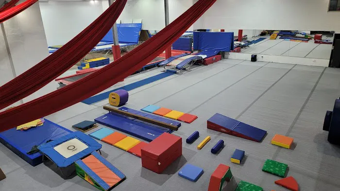 ALAGYMNASTICS Picture 9
