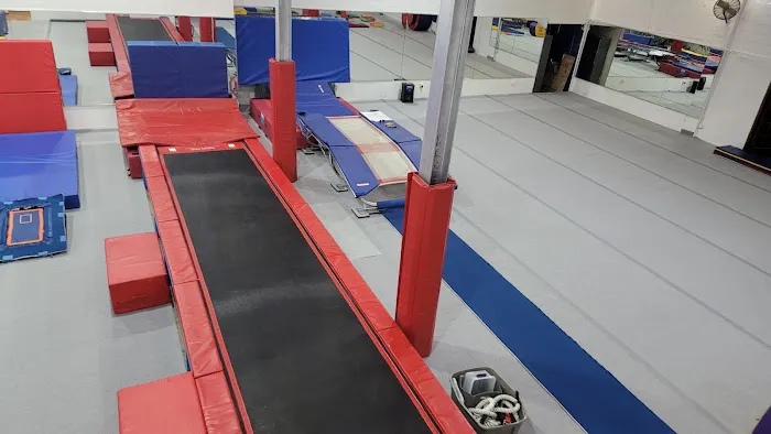 ALAGYMNASTICS Picture 2