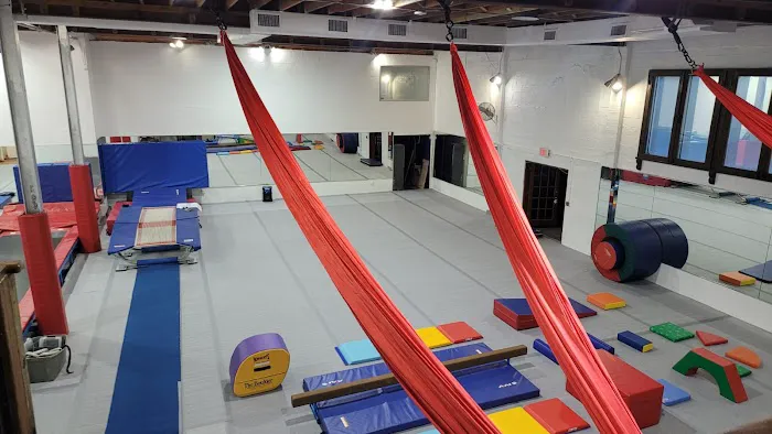 ALAGYMNASTICS Picture 8