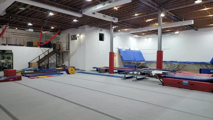 ALAGYMNASTICS Picture 4