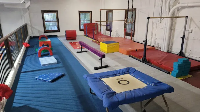 ALAGYMNASTICS Picture 1