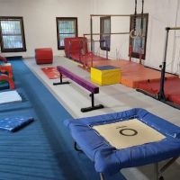 ALAGYMNASTICS ico