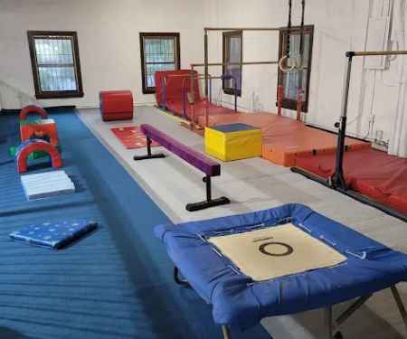 ALAGYMNASTICS
