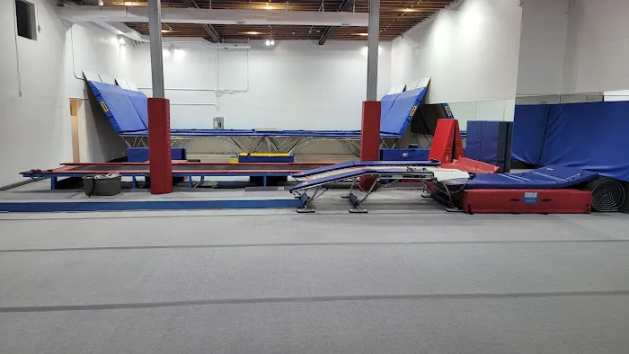 ALAGYMNASTICS Picture 3