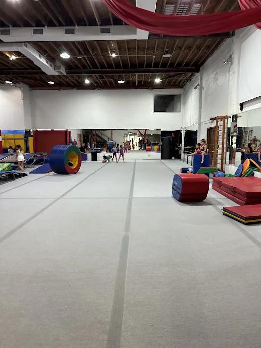 ALAGYMNASTICS Picture 6
