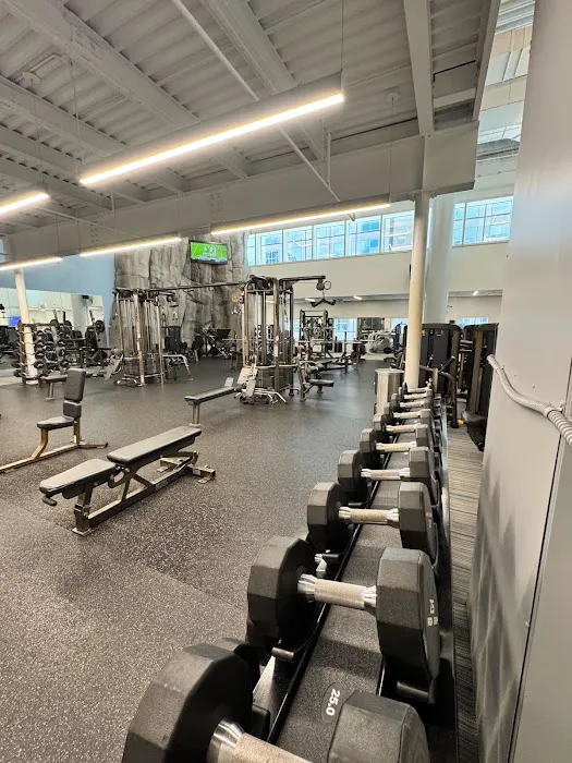 Southeast Financial Center Fitness Center (Powered by Kinema Fitness) Picture 8