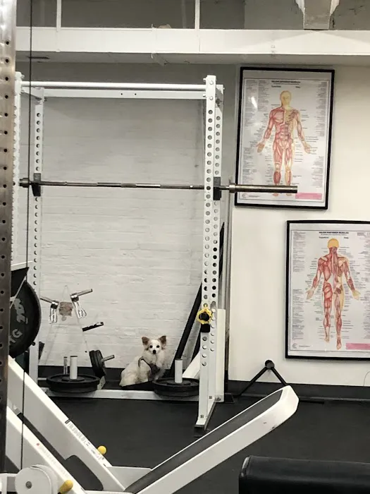City Fit Picture 7