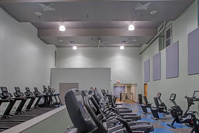 The Y in Druid Hill Picture 1