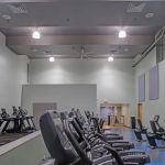 The Y in Druid Hill
