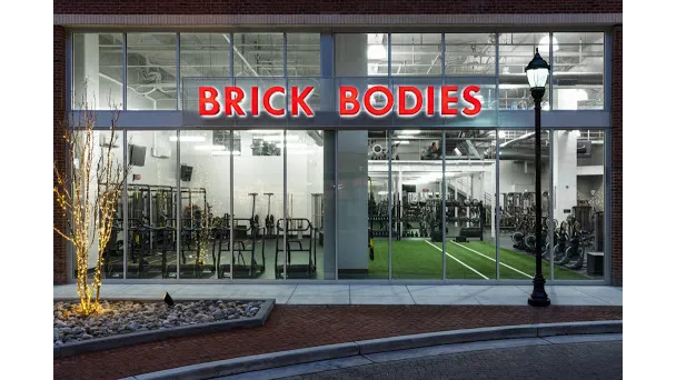 Brick Bodies Picture 2