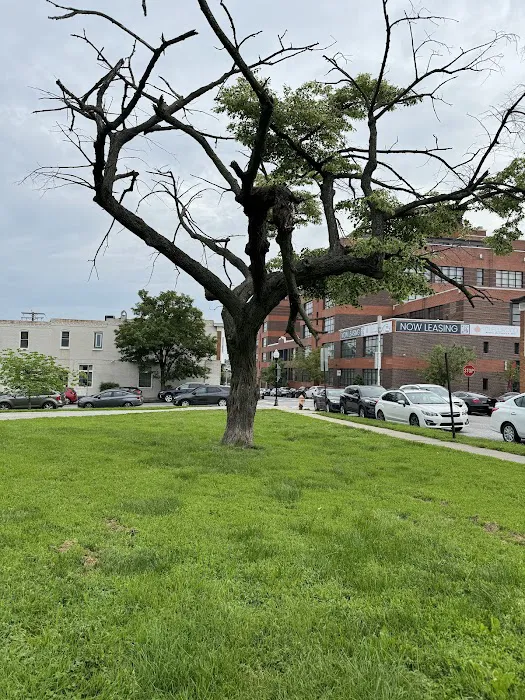 The Hall of SELF - Outdoor Classes Picture 1